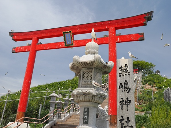 蕪嶋神社_参道_ウミネコ