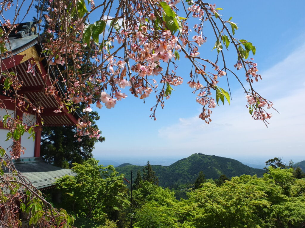 武蔵御嶽神社_眺望