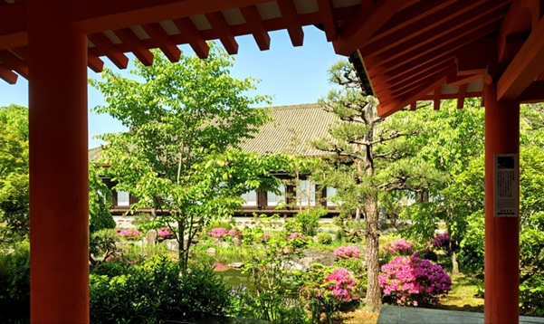 三十三間堂_池泉回遊式庭園_お堂