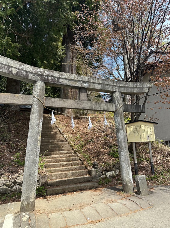 戸隠神社_火之御子社_鳥居