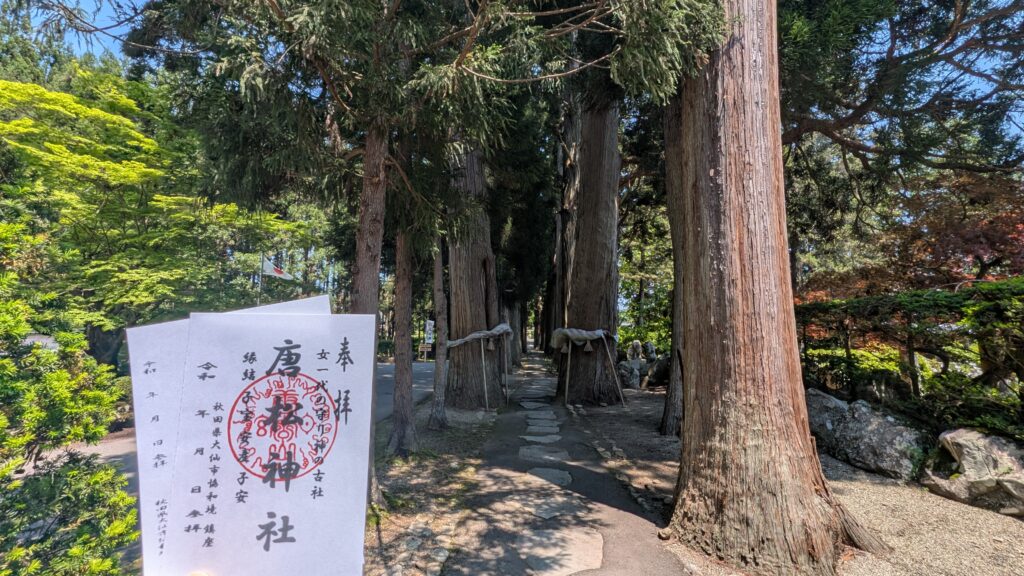 唐松神社_杉並木