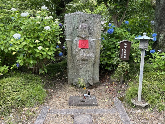 矢田寺_味噌なめ地蔵_あじさい