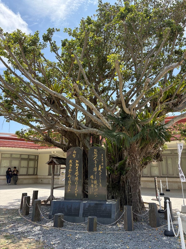 沖縄県護国神社_ガジュマル歌碑