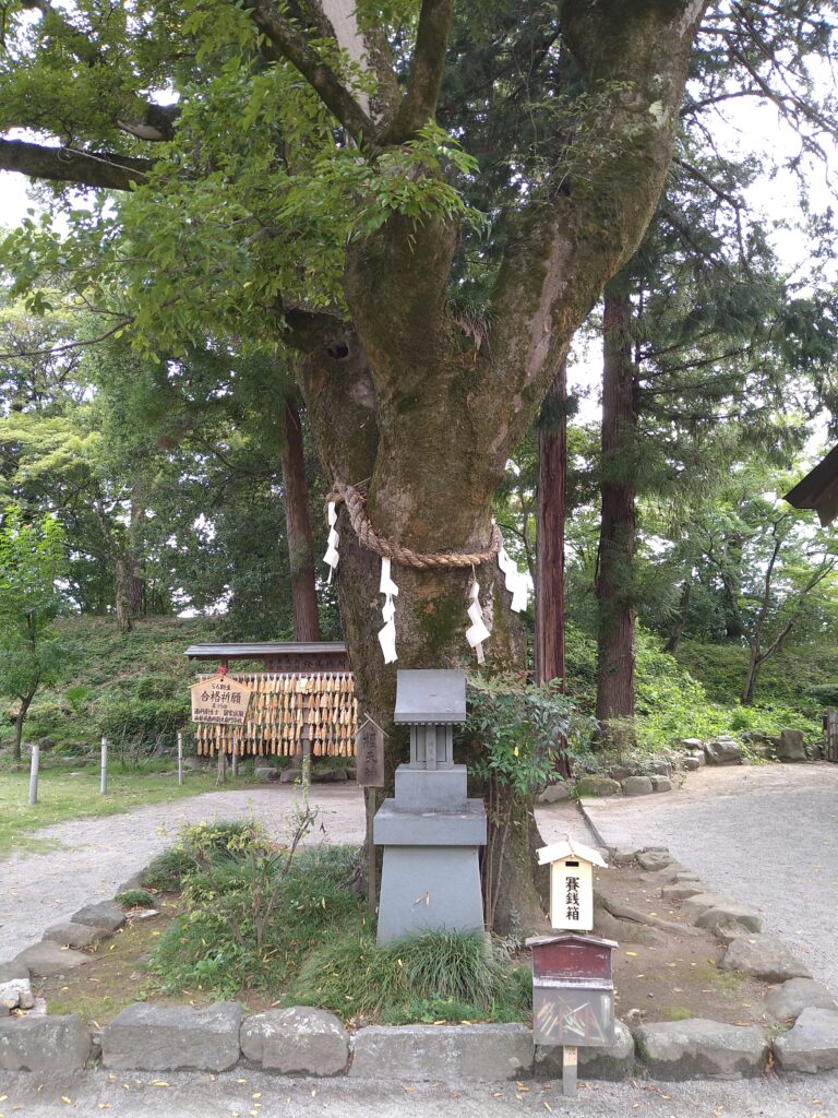 武田神社_榎天神社