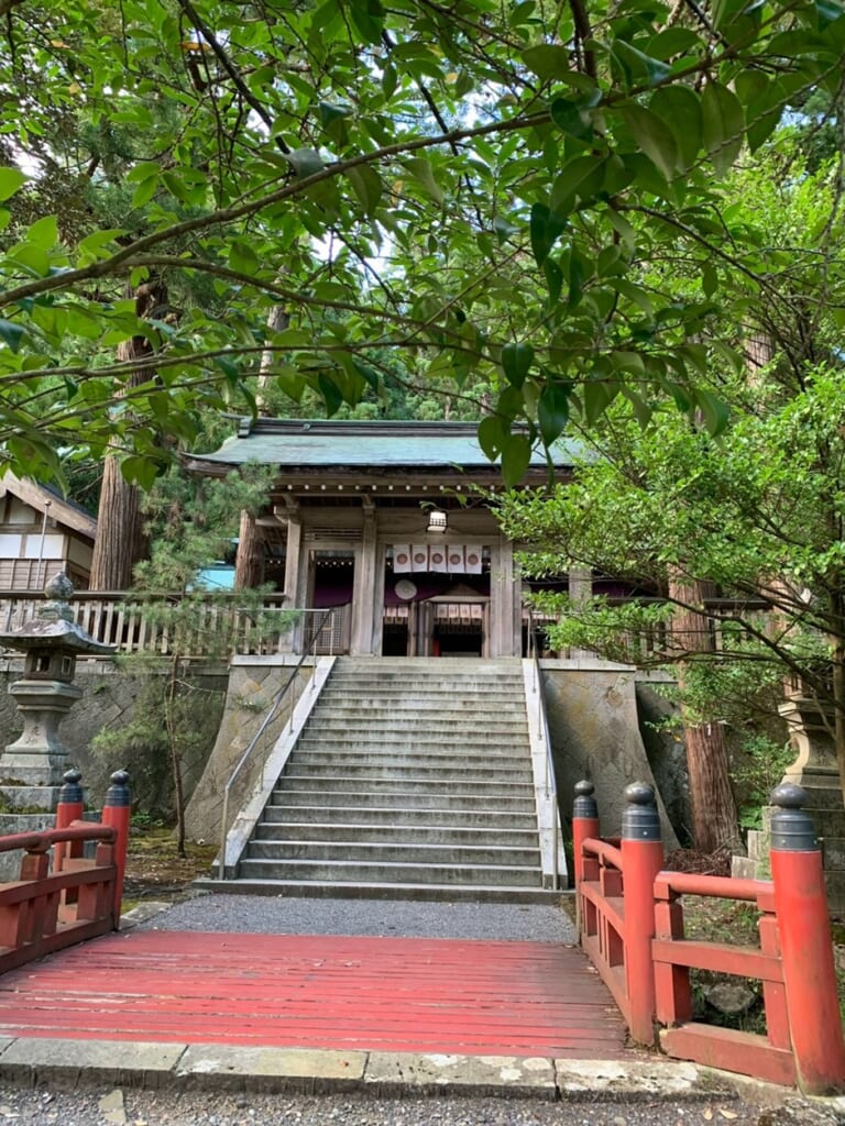 度津神社_太鼓橋・社殿
