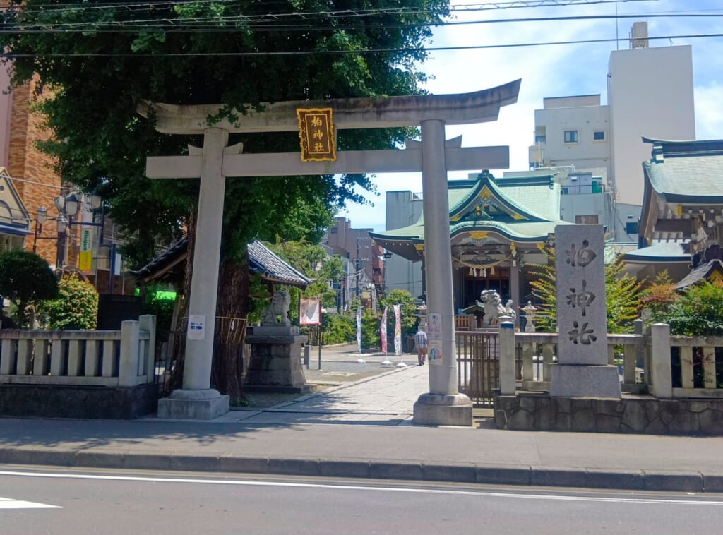 柏神社_鳥居