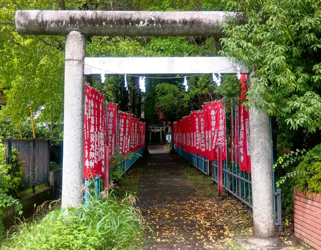 春日部八幡神社_春日部稲荷神社_参道