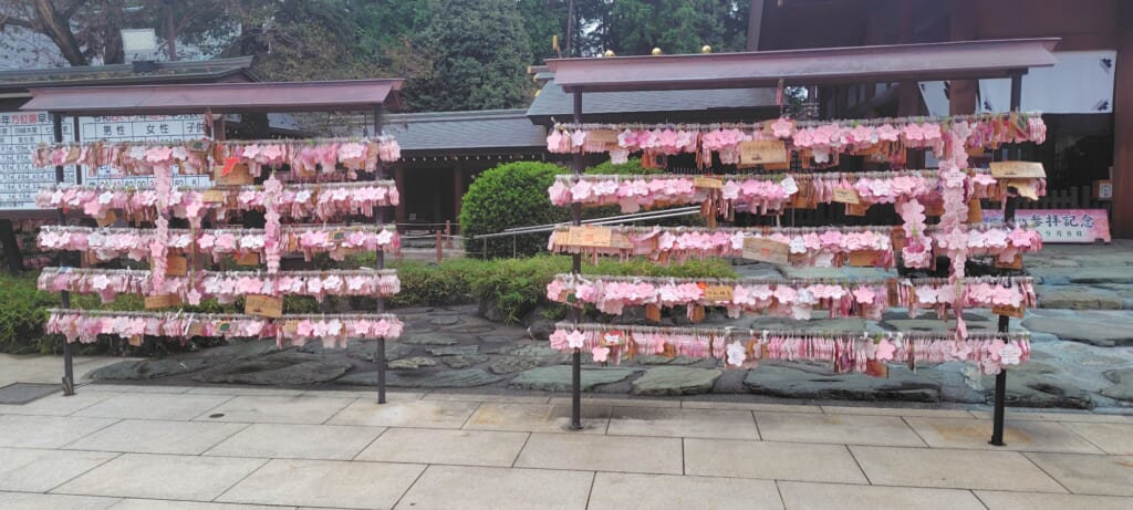 櫻木神社_絵馬
